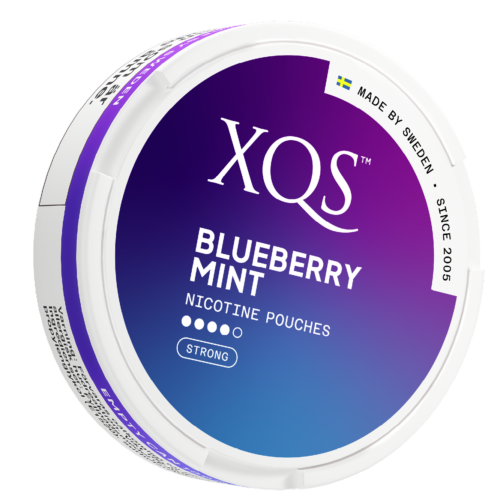 XQS Blueberry Mint Strong