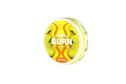 LEWA Burn Citrus & Mint