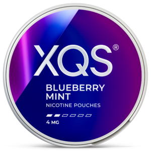 XQS Blueberry Mint