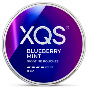 XQS Blueberry Mint