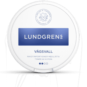 Lundgrens Vagsvall