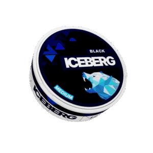 ICEBERG Black Medium removebg preview 2