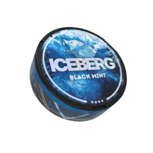 ICEBERG Black Mint Extreme removebg preview 2