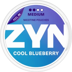 ZYN Cool Blueberry 6mg 2